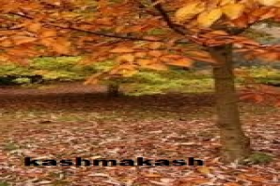 कश्मकश