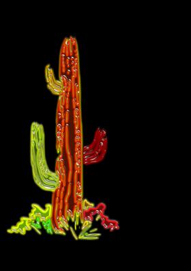 कशात काय