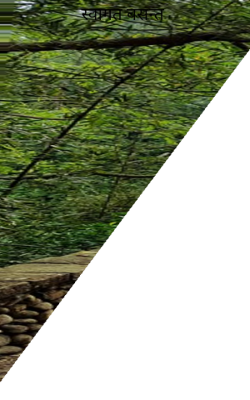 स्वागत बसन्त