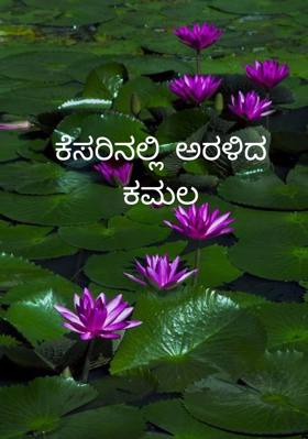 ಕೆಸರಿನಲ್ಲಿ ಅರಳಿದ ಕಮಲ