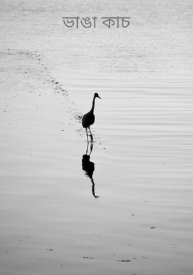 ভাঙা কাচ