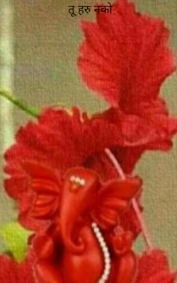 तू हरु नको