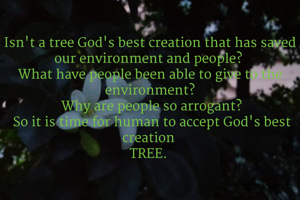 Isn't a tree God's best creation that has saved our environment and people? 
What have people been able to give to the environment?
 Why are people so arrogant?
 So it is time for human to accept God's best creation 
TREE. 