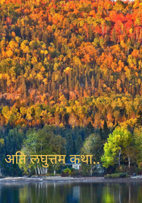 अलक... डॉ.अनिल कुलकर्णी.