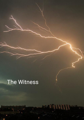 The Witness