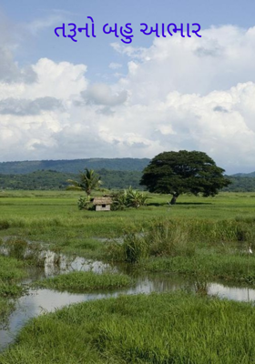 તરૂનો બહુ આભાર