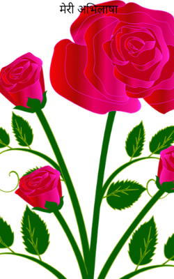 मेरी अभिलाषा