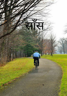 साँस