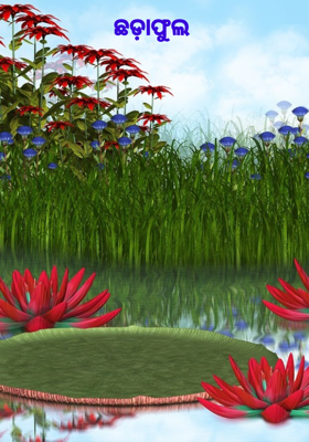 ଛଡ଼ାଫୁଲ 