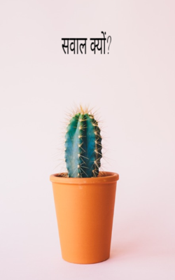सवाल क्यों?