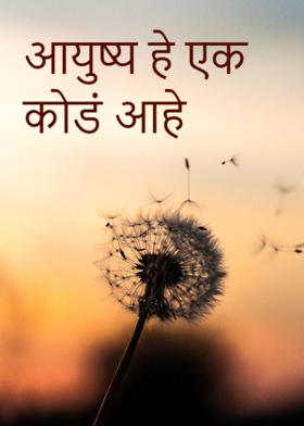 आयुष्य हे एक कोडं आहे