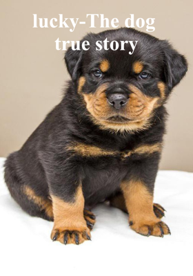 Lucky-The Dog True Story