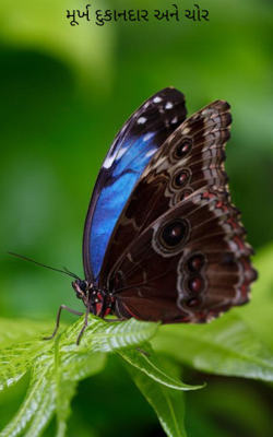 મૂર્ખ દુકાનદાર અને ચોર