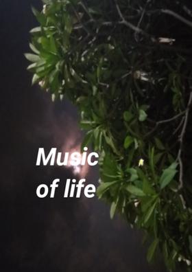 Music Of Life