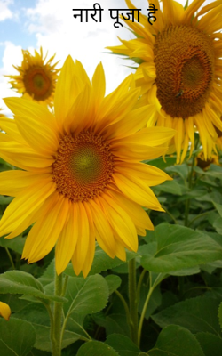 नारी पूजा है
