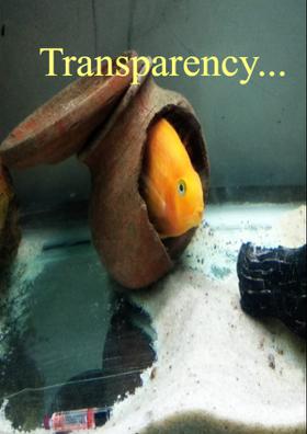 Transparency...