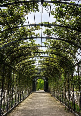 આવી ગયો રવિવાર