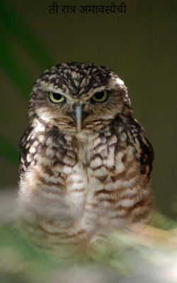 ती रात्र अमावस्येची