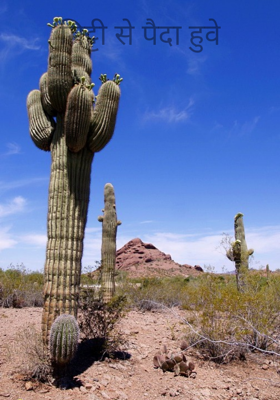 ​मिट्टी से पैदा हुवे