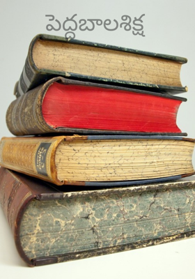 పెద్దబాలశిక్ష