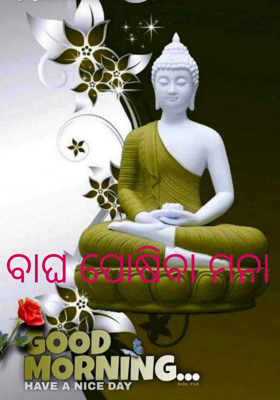 ବାଘ ପୋଷିବା ମନା