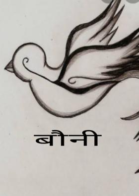 बौनी उड़ान