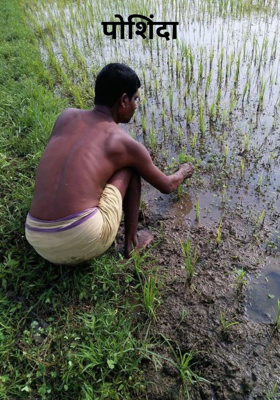 पोशिंदा