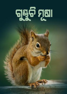 ଗୁଣ୍ଡୁଚି ମୂଷା