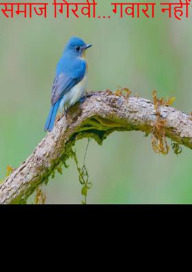 मेरा समाज गिरवी...गवारा नहीं