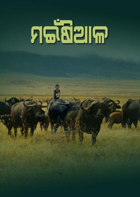 ମଇଁଷିଆଳ