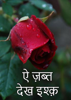 ऐ ज़ब्त देख इश्क़