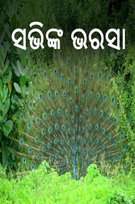 ସଭିଙ୍କ ଭରସା