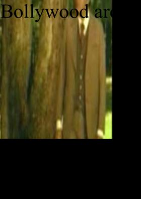 Bollywood Around The Trees