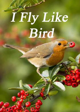 I Fly Like Bird