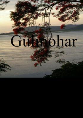 Gulmohar
