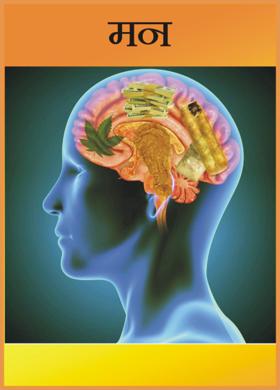 मन