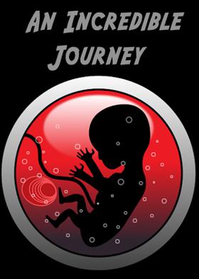 An Incredible Journey