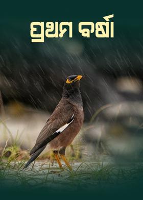 ପ୍ରଥମ ବର୍ଷା