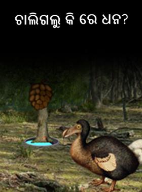 ଚାଲିଗଲୁ କି ରେ ଧନ?