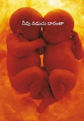 నీవు నడుచు దారంతా
