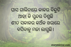 ଘାସ ଗାଲିଚାରେ କାକର ବିନ୍ଦୁଟି
ଆହା କି ସୁନ୍ଦର ଦିଶୁଛି
ଶୀତ ସକାଳର କଅଁଳ ଖରାରେ
ବସିବାକୁ ମଜା ଲାଗୁଛି।