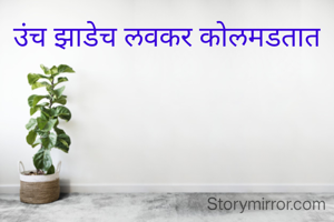 उंच झाडेच लवकर कोलमडतात