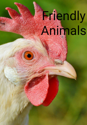 Friendly Animals