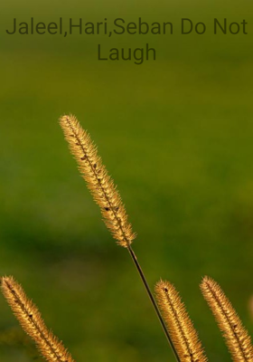 Jaleel, Hari, Seban-  Do Not L