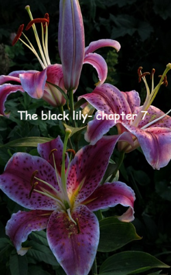 The Black Lily- Chapter 7