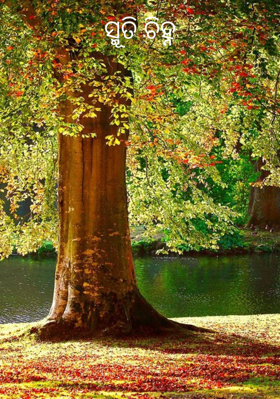 ସ୍ମୂତି ଚିହ୍ନ