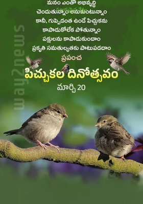 మాయమైన నేస్తం