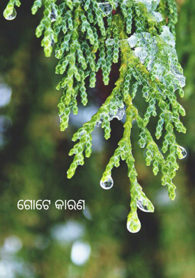 ଗୋଟେ କାରଣ