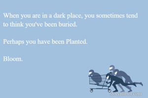 When you are in a dark place, you sometimes tend to think you've been buried.

Perhaps you have been Planted.

Bloom.
