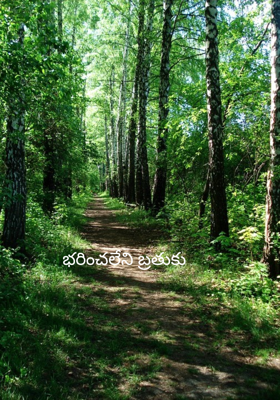 భరించలేని బ్రతుకు